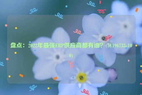 盘点：2022年最强ERP供应商都有谁？(51196733-100)