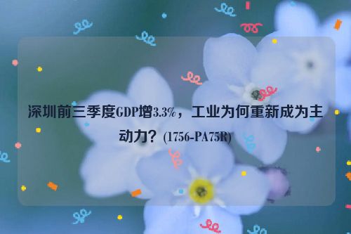 深圳前三季度GDP增3.3%，工业为何重新成为主动力？(1756-PA75R)