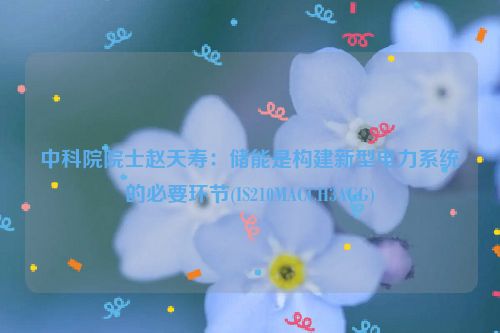 中科院院士赵天寿：储能是构建新型电力系统的必要环节(IS210MACCH3AGG)
