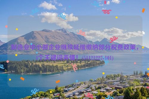制造业中小微企业继续延缓缴纳部分税费政策，4个关键词弄懂！(51121227-101)