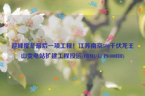 迎峰度冬最后一项工程！江苏南京500千伏龙王山变电站扩建工程投运(FBM1/43 P0400HH)