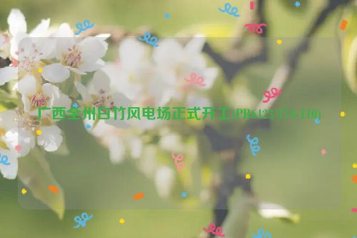 广西全州白竹风电场正式开工(PR6423/174-110)