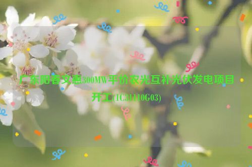 广东阳春文惠300MW平价农光互补光伏发电项目开工(1C31110G03)