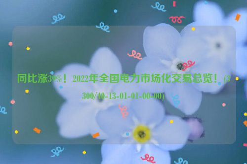 同比涨39%！2022年全国电力市场化交易总览！(3300/40-13-01-01-00-00)