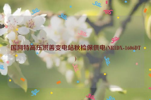 国网特高压洪善变电站秋检保供电(NR1DX-1606DT)