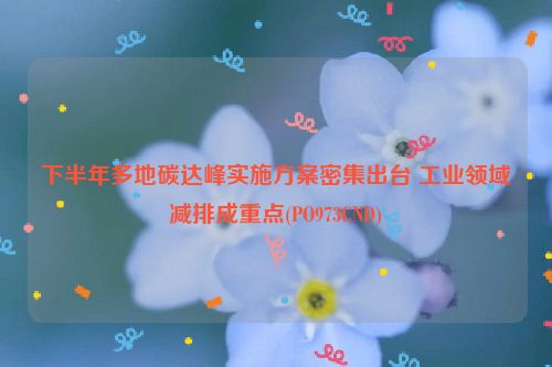 下半年多地碳达峰实施方案密集出台 工业领域减排成重点(PO973CND)