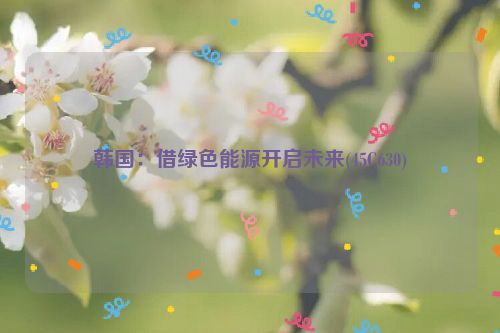 韩国：借绿色能源开启未来(45C630)