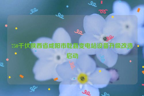 750千伏陕西省咸阳市乾县变电站设备升级改造启动