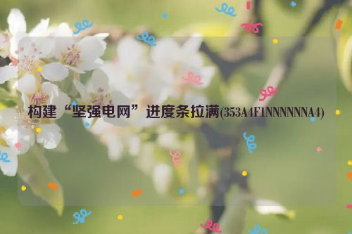 构建“坚强电网”进度条拉满(353A4F1NNNNNNA4)