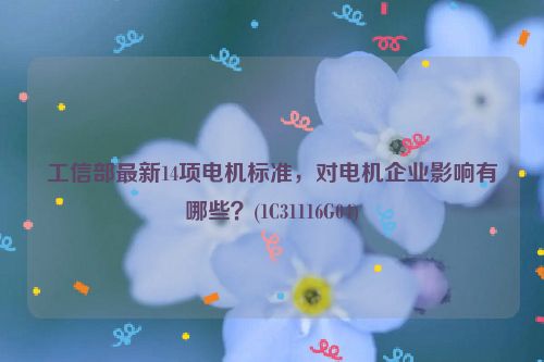 工信部最新14项电机标准，对电机企业影响有哪些？(1C31116G04)