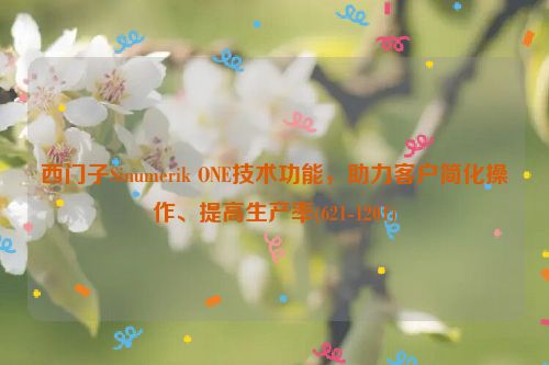 西门子Sinumerik ONE技术功能，助力客户简化操作、提高生产率(621-1201)