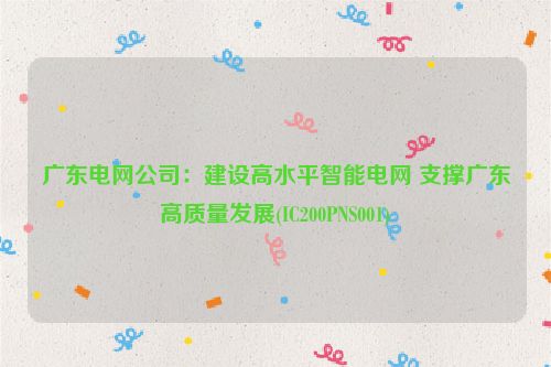 广东电网公司：建设高水平智能电网 支撑广东高质量发展(IC200PNS001)