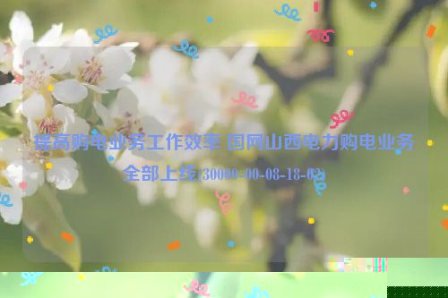 提高购电业务工作效率 国网山西电力购电业务全部上线(30000-00-08-18-02)