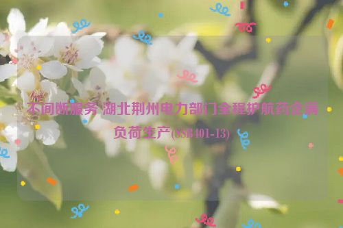 不间断服务 湖北荆州电力部门全程护航药企满负荷生产(SSB401-13)