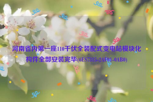 河南省内第一座110千伏全装配式变电站模块化构件全部安装完毕(6ES7315-2AF01-0AB0)