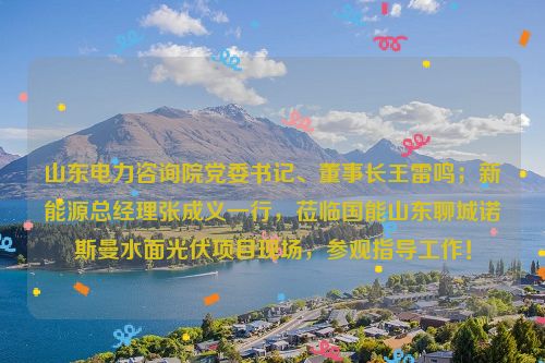 山东电力咨询院党委书记、董事长王雷鸣；新能源总经理张成义一行，莅临国能山东聊城诺斯曼水面光伏项目现场，参观指导工作！