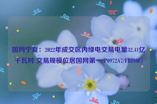 国网宁夏：2022年成交区内绿电交易电量32.41亿千瓦时 交易规模位居国网第一(P0972A7/FBI10E)