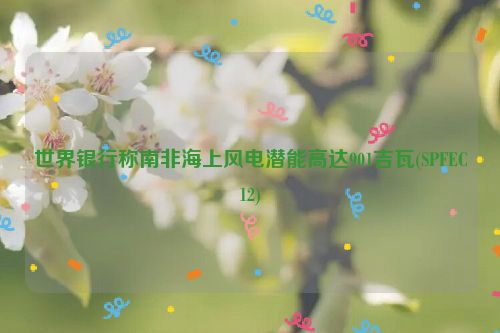 世界银行称南非海上风电潜能高达901吉瓦(SPFEC12)