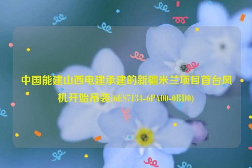 中国能建山西电建承建的新疆米兰项目首台风机开始吊装(6ES7134-6PA00-0BD0)