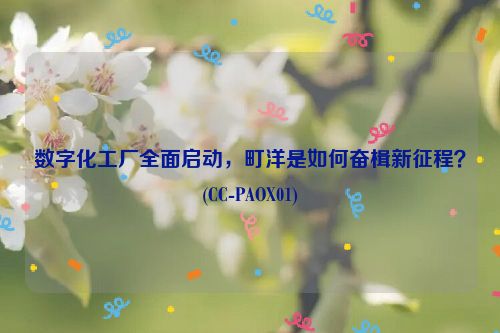 数字化工厂全面启动，町洋是如何奋楫新征程？(CC-PAOX01)