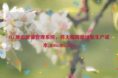 PLC推出能源管理系统，将大幅降低绿氢生产成本(IC086ARG4322)