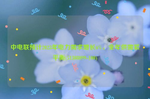 中电联预计2023年电力需求增长6%，全年供需紧平衡(51308099-100)