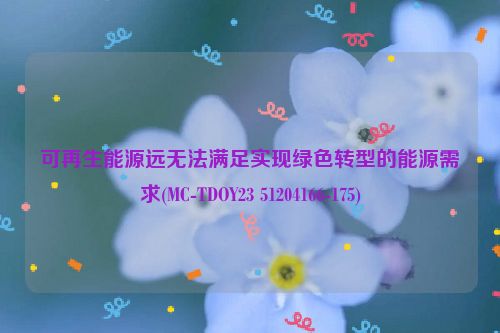 可再生能源远无法满足实现绿色转型的能源需求(MC-TDOY23 51204166-175)