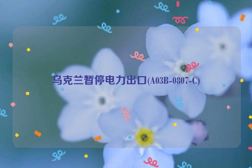 乌克兰暂停电力出口(A03B-0807-C)