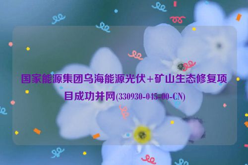 国家能源集团乌海能源光伏+矿山生态修复项目成功并网(330930-045-00-CN)