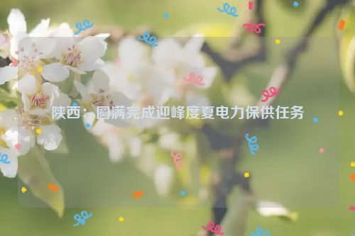 陕西：圆满完成迎峰度夏电力保供任务