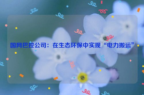 国网巴控公司：在生态环保中实现“电力搬运”