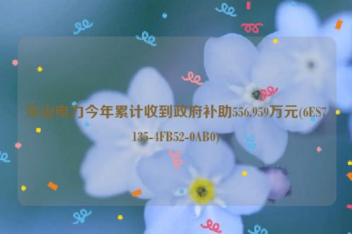 乐山电力今年累计收到政府补助556.959万元(6ES7135-4FB52-0AB0)