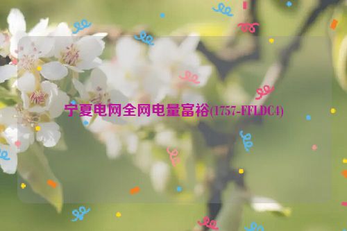 宁夏电网全网电量富裕(1757-FFLDC4)