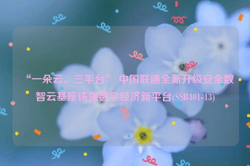 “一朵云、三平台” 中国联通全新升级安全数智云基座铸强数字经济新平台(SSB401-13)