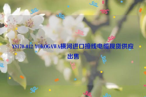 YS170-012 YOKOGAWA横河进口接线电缆现货供应出售
