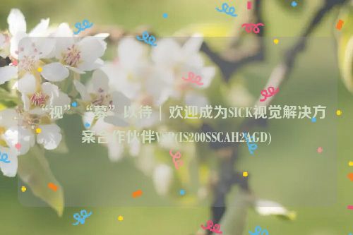 “视”“募”以待 | 欢迎成为SICK视觉解决方案合作伙伴VSP(IS200SSCAH2AGD)