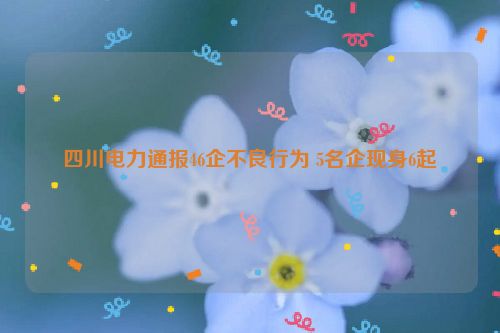 四川电力通报46企不良行为 5名企现身6起