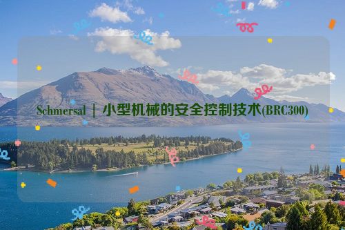 Schmersal | 小型机械的安全控制技术(BRC300)