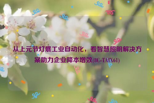 从上元节灯展工业自动化，看智慧照明解决方案助力企业降本增效(8C-TAIX61)