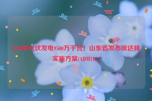 2030年光伏发电9500万千瓦！山东省发布碳达峰实施方案(ADM11C)