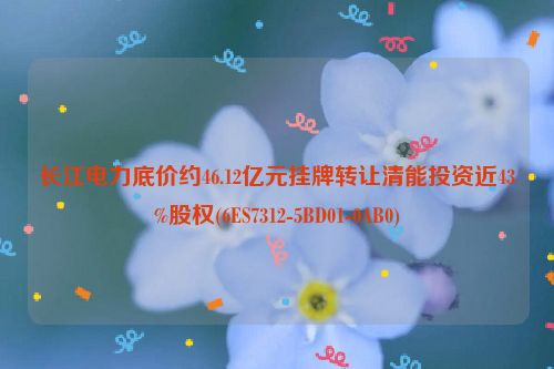 长江电力底价约46.12亿元挂牌转让清能投资近43%股权(6ES7312-5BD01-0AB0)