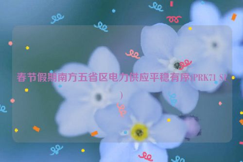 春节假期南方五省区电力供应平稳有序(PRK71 S1)