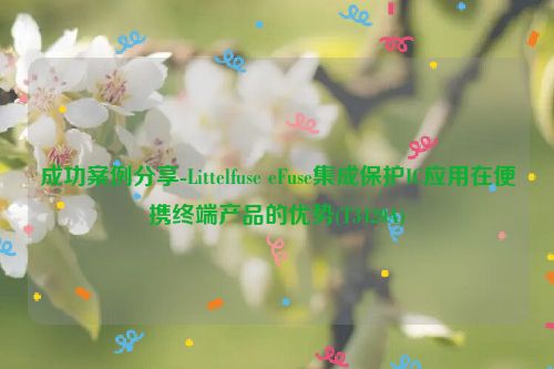 成功案例分享-Littelfuse eFuse集成保护IC应用在便携终端产品的优势(T3420A)