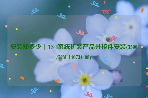 安装知多少 | TS 8系统扩装产品并柜件安装(3500/72M 140734-08)