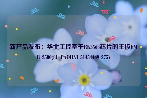 新产品发布：华北工控基于RK3568芯片的主板EMB-2580(8C-PAOHA1 51454469-275)