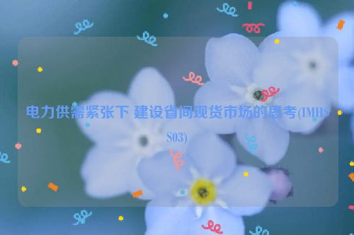 电力供需紧张下 建设省间现货市场的思考(IMHSS03)