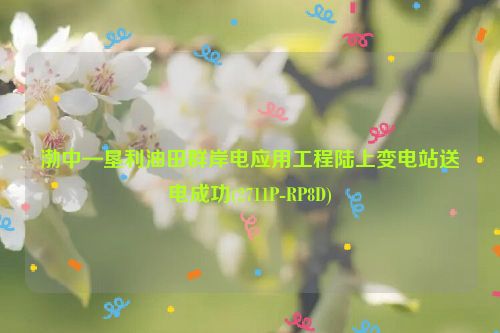 渤中—垦利油田群岸电应用工程陆上变电站送电成功(2711P-RP8D)