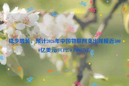 稳步增长，预计2026年中国物联网支出规模近3000亿美元(FCP270 P0917YZ)