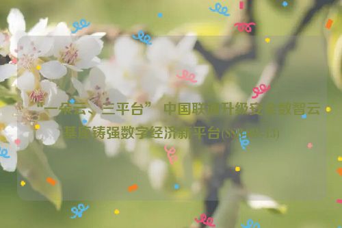 “一朵云、三平台” 中国联通升级安全数智云基座铸强数字经济新平台(SSB401-13)