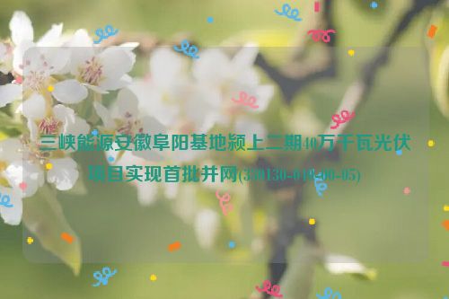 三峡能源安徽阜阳基地颍上二期40万千瓦光伏项目实现首批并网(330130-040-00-05)